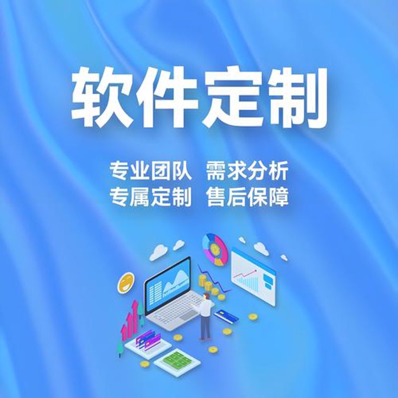 电商系统定制